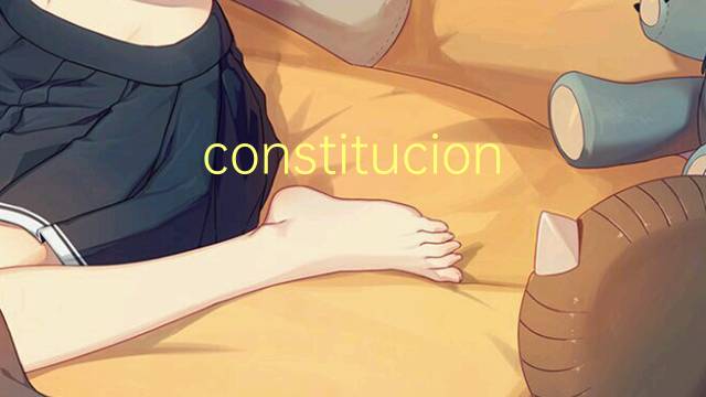 constitucional是什么意思 constitucional的读音、翻译、用法