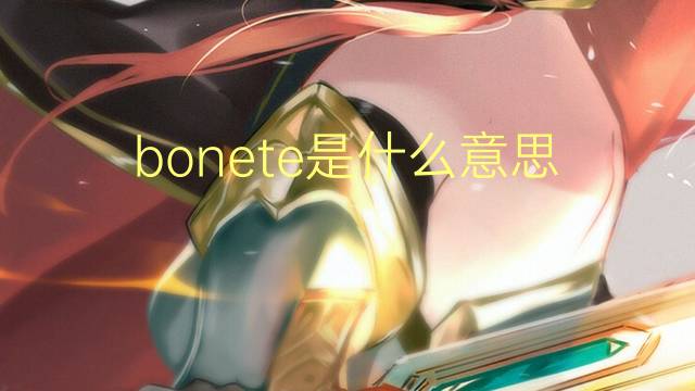 bonete是什么意思 bonete的读音、翻译、用法