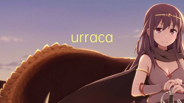 urraca americana是什么意思 urraca americana的读音、翻译、用法