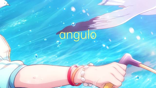 angulo agudo是什么意思 angulo agudo的读音、翻译、用法