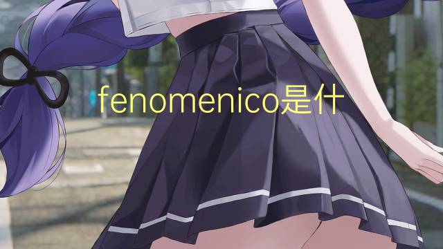fenomenico是什么意思 fenomenico的读音、翻译、用法
