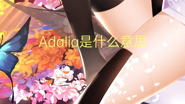 Adalia是什么意思 Adalia的读音、翻译、用法