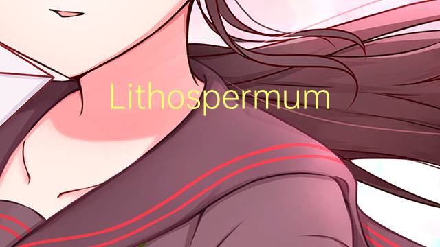 Lithospermum是什么意思 Lithospermum的读音、翻译、用法