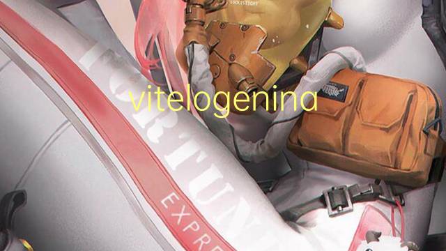 vitelogenina是什么意思 vitelogenina的读音、翻译、用法