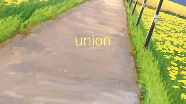 union civil是什么意思 union civil的读音、翻译、用法