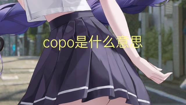 copo是什么意思 copo的读音、翻译、用法