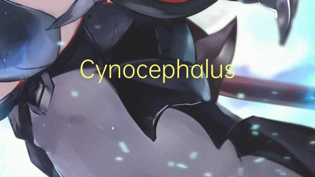 Cynocephalus是什么意思 Cynocephalus的读音、翻译、用法