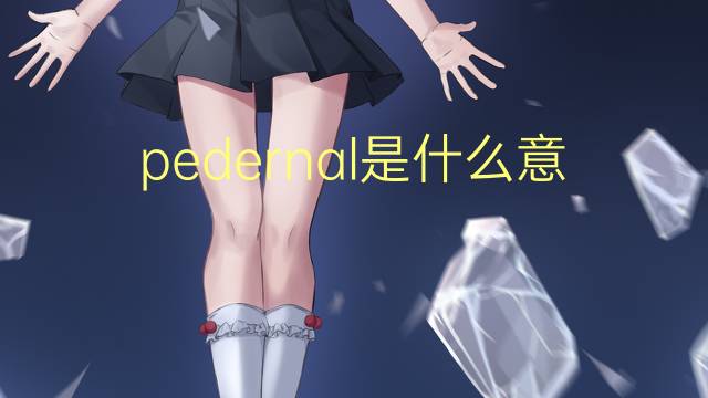 pedernal是什么意思 pedernal的读音、翻译、用法