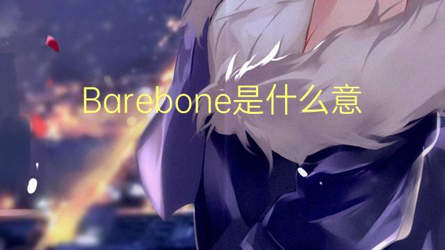 Barebone是什么意思 Barebone的读音、翻译、用法