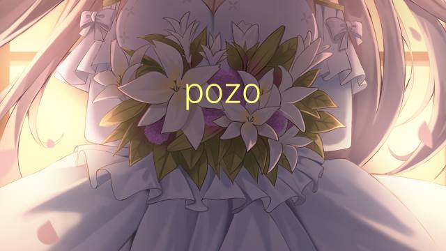 pozo entubado是什么意思 pozo entubado的读音、翻译、用法