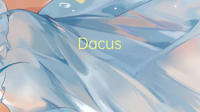 Dacus cucurbitae是什么意思 Dacus cucurbitae的读音、翻译、用法