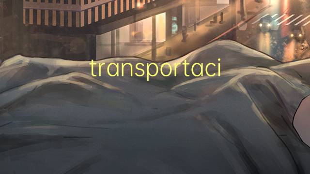 transportacion是什么意思 transportacion的读音、翻译、用法