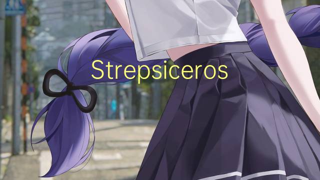 Strepsiceros是什么意思 Strepsiceros的读音、翻译、用法