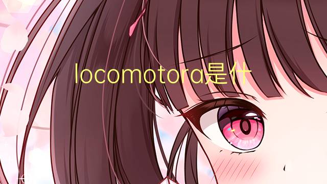 locomotora是什么意思 locomotora的读音、翻译、用法