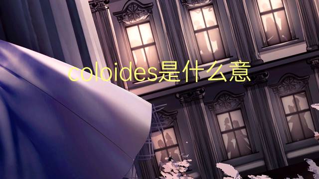 coloides是什么意思 coloides的读音、翻译、用法