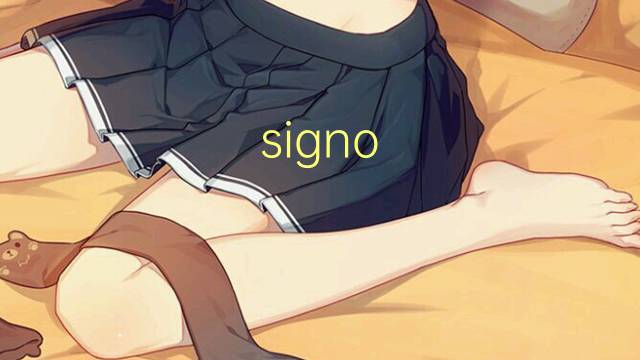 signo de interrogacion是什么意思 signo de interrogacion的读音、翻译、用法