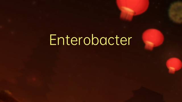 Enterobacter是什么意思 Enterobacter的读音、翻译、用法