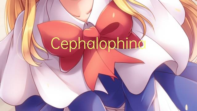 Cephalophinae是什么意思 Cephalophinae的读音、翻译、用法