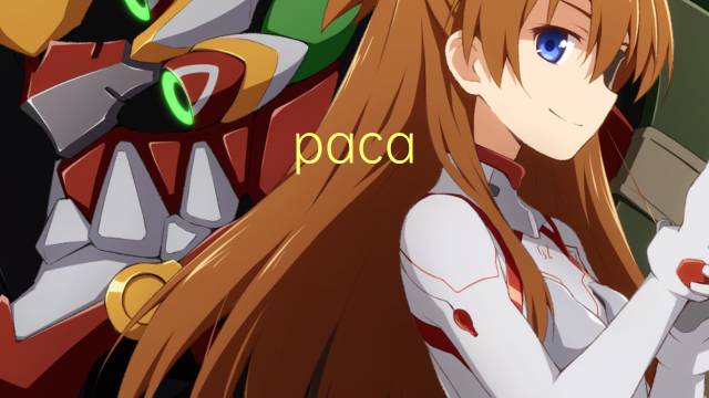 paca kutcha是什么意思 paca kutcha的读音、翻译、用法