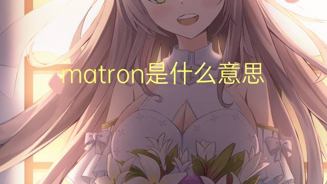 matron是什么意思 matron的读音、翻译、用法