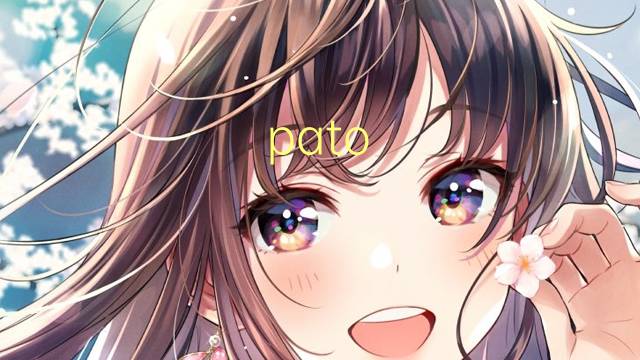 pato mudo是什么意思 pato mudo的读音、翻译、用法