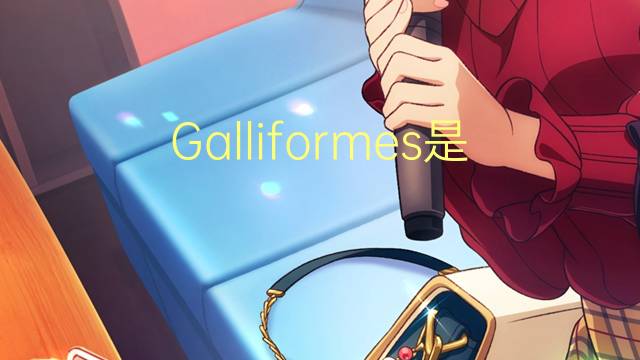 Galliformes是什么意思 Galliformes的读音、翻译、用法