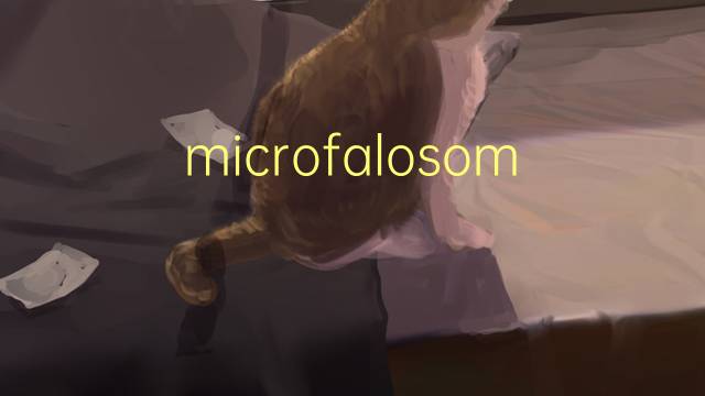 microfalosomia是什么意思 microfalosomia的读音、翻译、用法