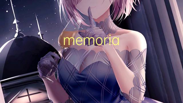 memoria disponible是什么意思 memoria disponible的读音、翻译、用法