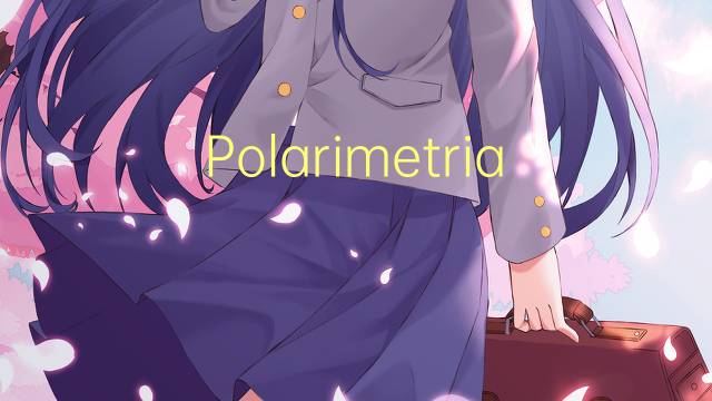 Polarimetria是什么意思 Polarimetria的读音、翻译、用法