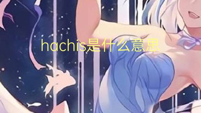 hachis是什么意思 hachis的读音、翻译、用法