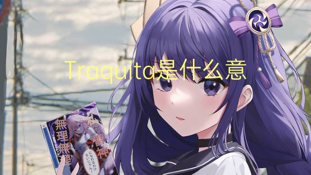 Traquita是什么意思 Traquita的读音、翻译、用法