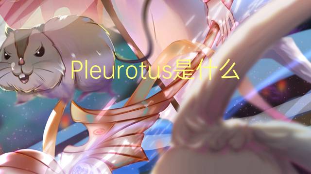 Pleurotus是什么意思 Pleurotus的读音、翻译、用法