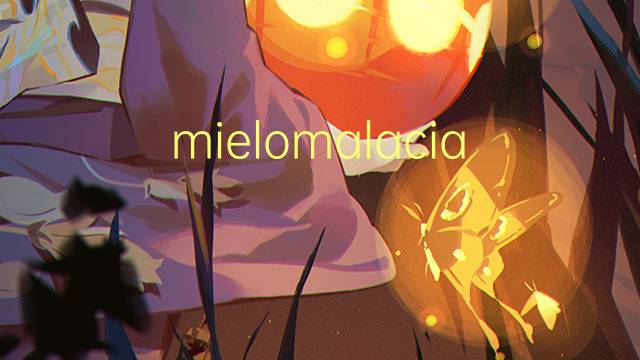 mielomalacia是什么意思 mielomalacia的读音、翻译、用法