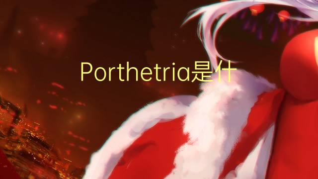 Porthetria是什么意思 Porthetria的读音、翻译、用法