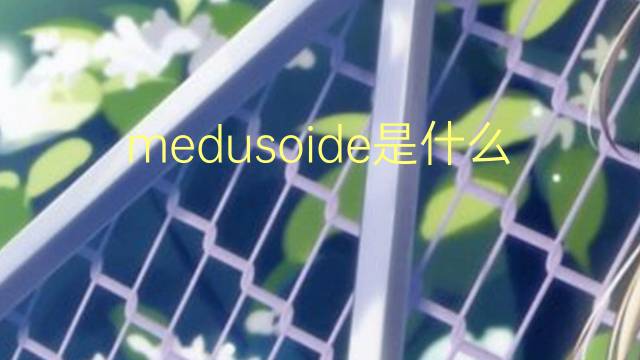 medusoide是什么意思 medusoide的读音、翻译、用法