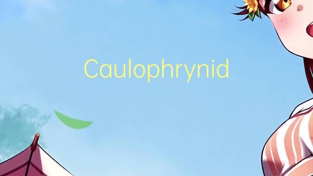 Caulophrynidae是什么意思 Caulophrynidae的读音、翻译、用法