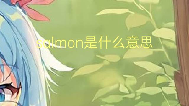 salmon是什么意思 salmon的读音、翻译、用法