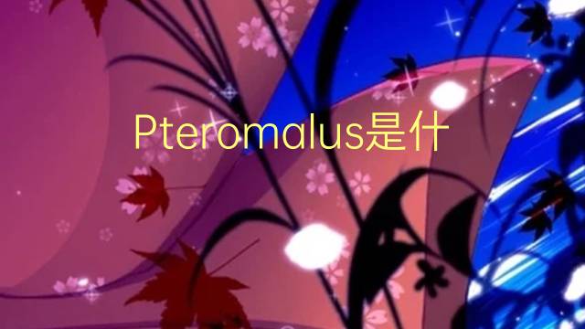 Pteromalus是什么意思 Pteromalus的读音、翻译、用法