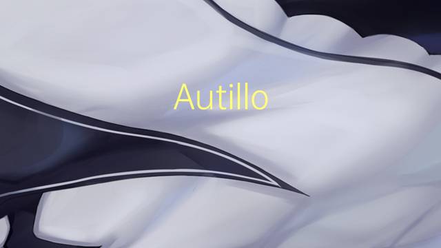 Autillo Yanqui是什么意思 Autillo Yanqui的读音、翻译、用法