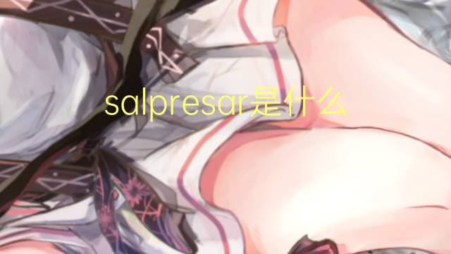 salpresar是什么意思 salpresar的读音、翻译、用法