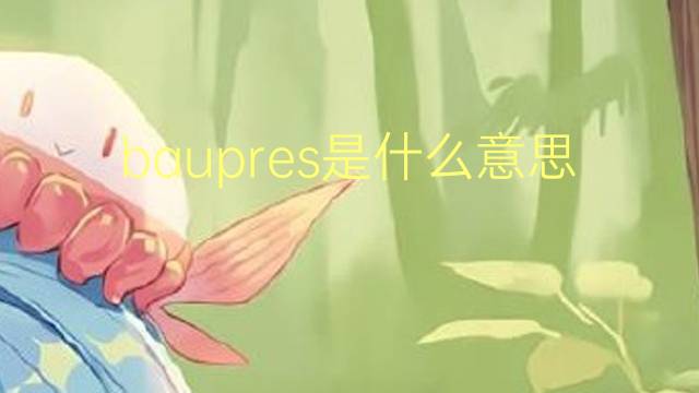 baupres是什么意思 baupres的读音、翻译、用法