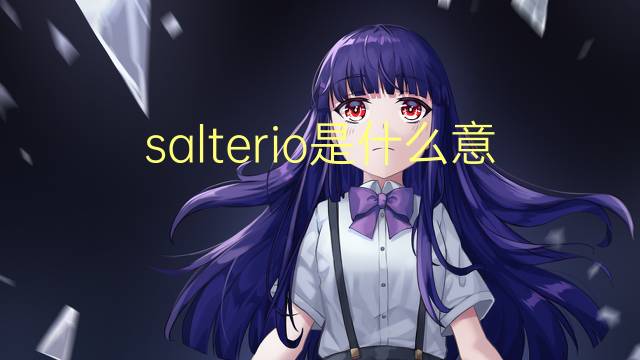 salterio是什么意思 salterio的读音、翻译、用法