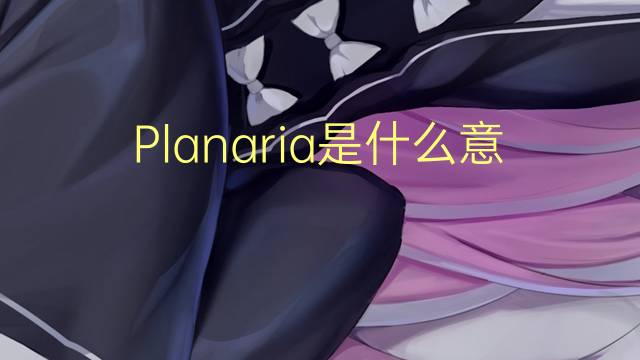 Planaria是什么意思 Planaria的读音、翻译、用法