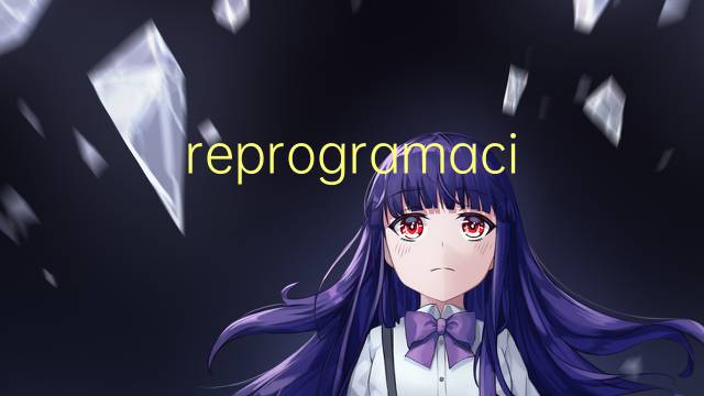 reprogramacion是什么意思 reprogramacion的读音、翻译、用法