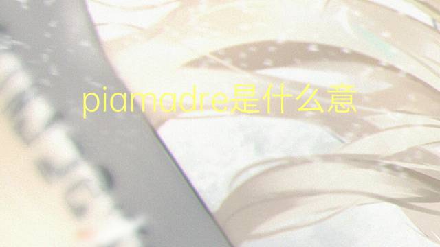 piamadre是什么意思 piamadre的读音、翻译、用法