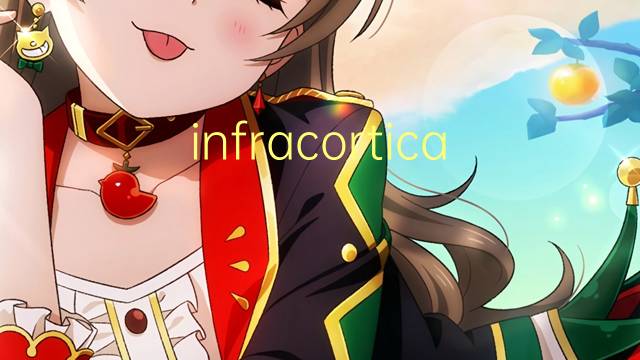 infracortical是什么意思 infracortical的读音、翻译、用法