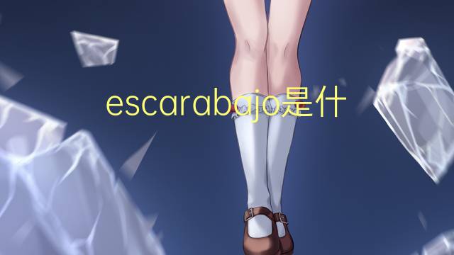 escarabajo是什么意思 escarabajo的读音、翻译、用法