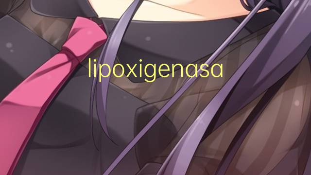 lipoxigenasa是什么意思 lipoxigenasa的读音、翻译、用法