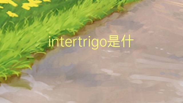 intertrigo是什么意思 intertrigo的读音、翻译、用法