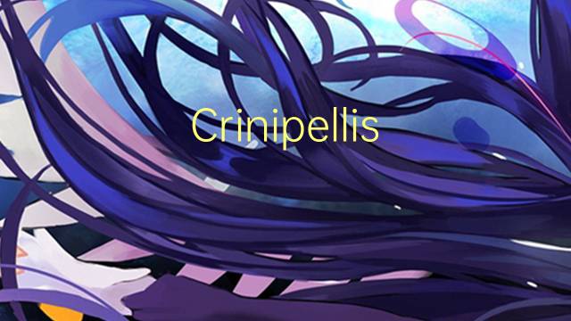 Crinipellis perniciosa是什么意思 Crinipellis perniciosa的读音、翻译、用法